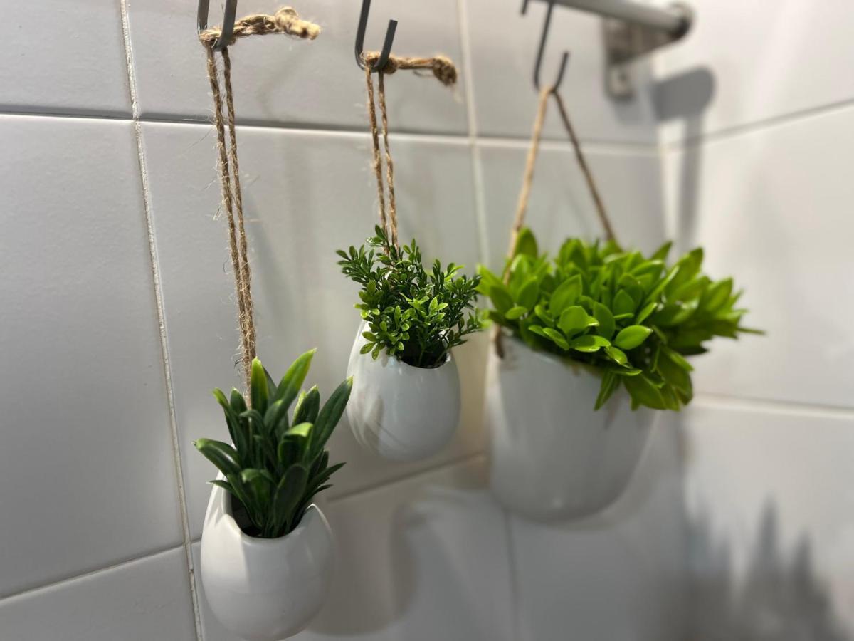 Lovely&Charming Anita'S Apartment Πόντα Ντελγκάντα Εξωτερικό φωτογραφία